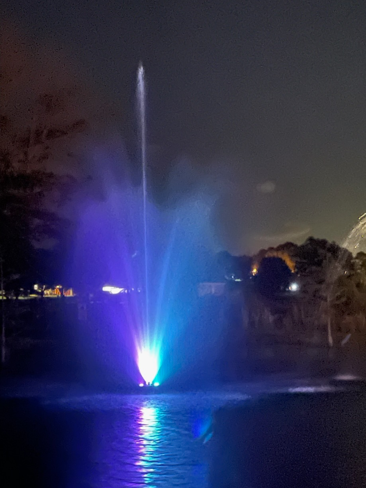 V-Flower Pond Fountain
